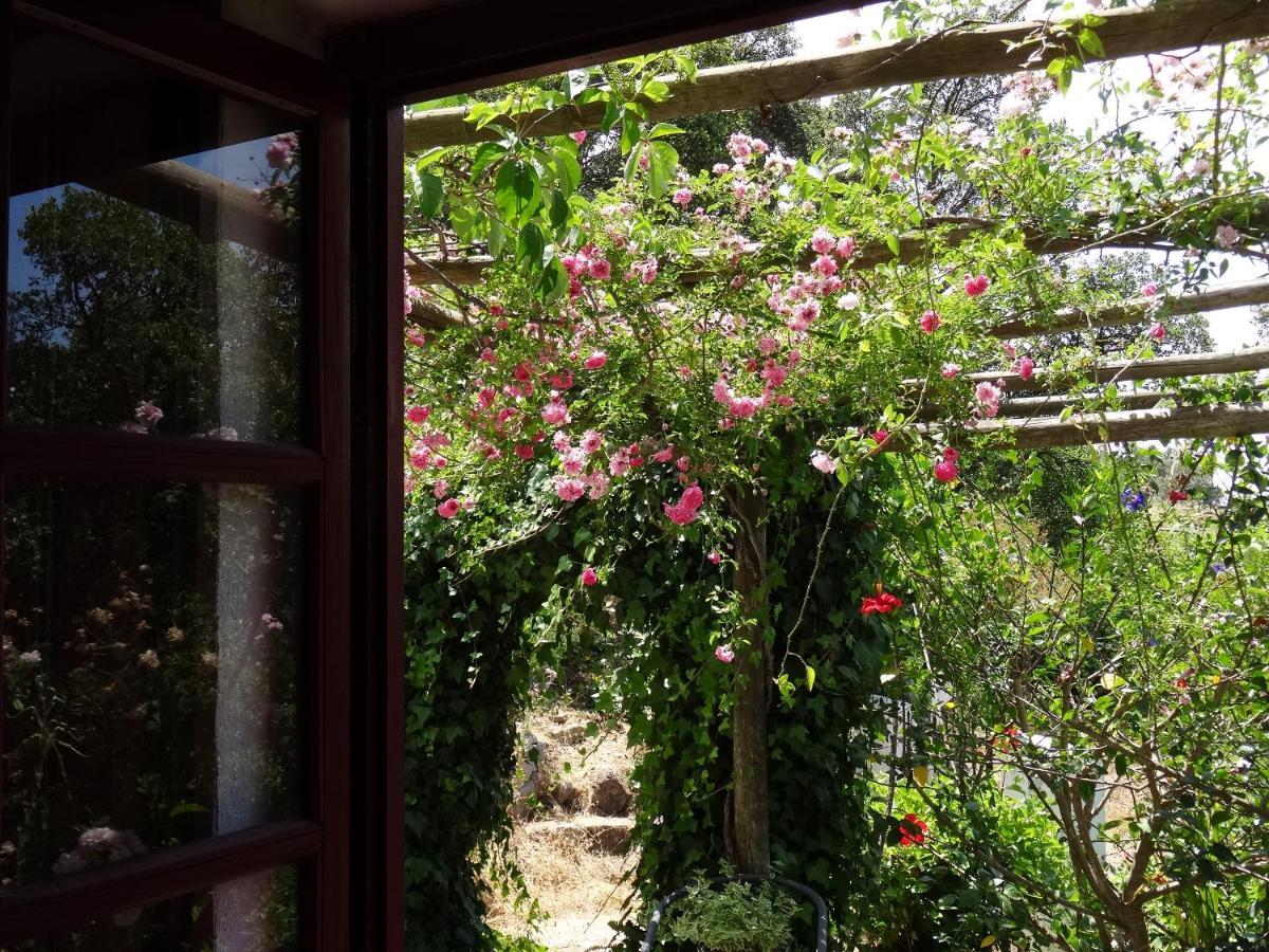 My Room - Villa Vina - Ter 몬시크 외부 사진